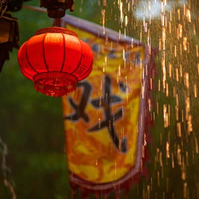 雨后林间的低语