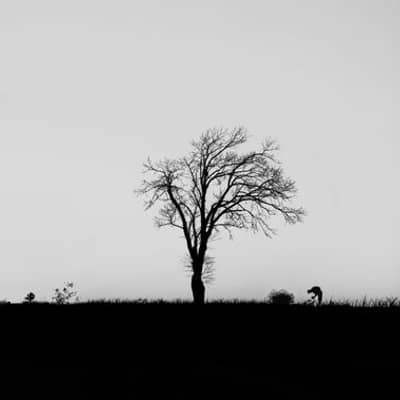 Quiet Dusk by Water's Edge