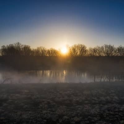 Quiet Dawn Over a Leafy Meadow