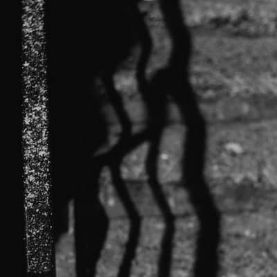 Noche de Sombras de Invierno