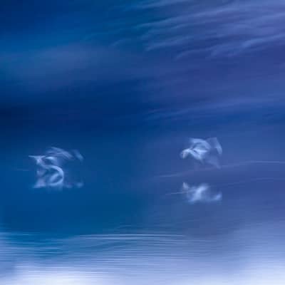 Upepo wa Nyuma ya Mawimbi / The Wind Behind the Waves