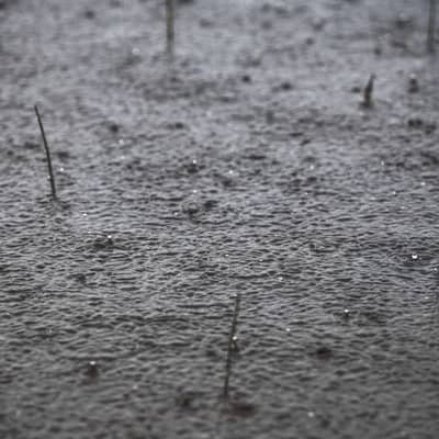 Gouden uur met regen | Heure dorée adoucie | Goldene Stunde besprenkt