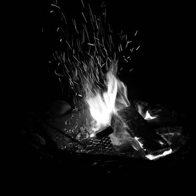 Embers of Night in the Desert Garden