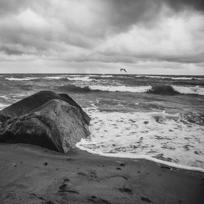 Stormens hjerte