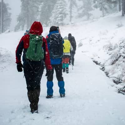 Caminata Invernal con Brasas de Media Mañana