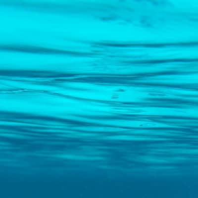 Bamboo Water and the Midday Hush