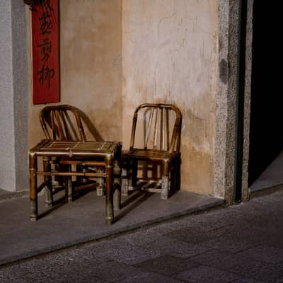 Cold Wind Through Bamboo and Bone