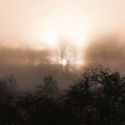 Nebel umarmt das leise Grün