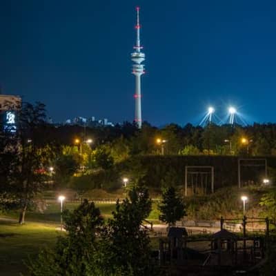 Noc nad Odrą: żaby i świerszcze