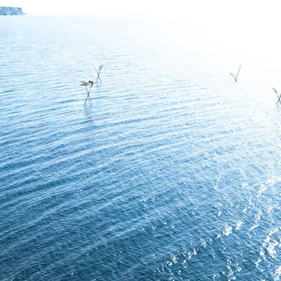 眠りの水の庭