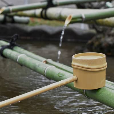Bamboo Stream Whisper in Midday Wind