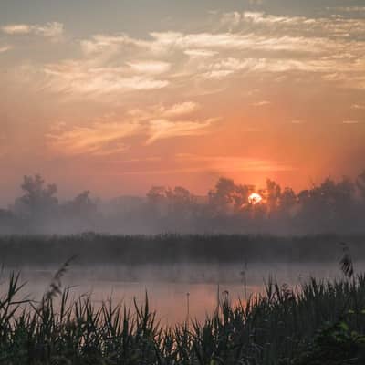Dawn Mist Over Zomba Plateau