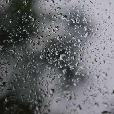La Pluie Lisse la Nuit d’Été