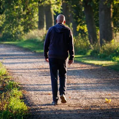 Il Gelo Canticchia nel Bosco