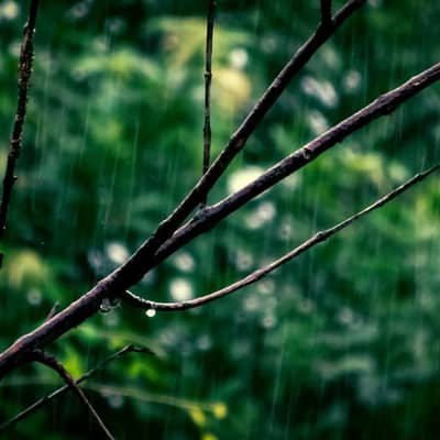 ضوء في قلب العاصفة