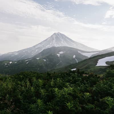 Midnight Breath of the Hokkaido Wilds