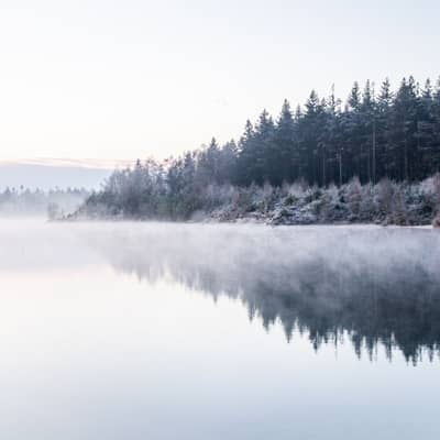 Frosted Whispers by the Water