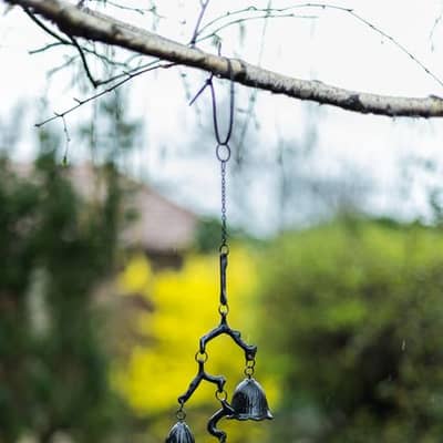 Meditasjon i Stormens Skog