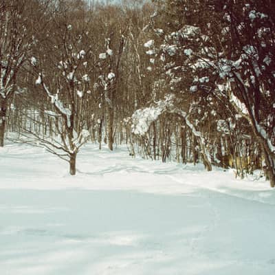 Footprints in Winter's Breath | Mga Dampa sa Lamig na Hangin