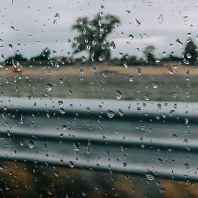 Train at the Water's Edge, Rain-Washed Dawn