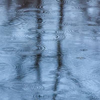潮騒と雨の昼下がり