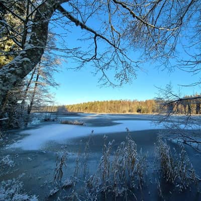 Frozen Quiet Midday