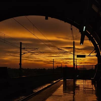 Tren al Amanecer por el Lago