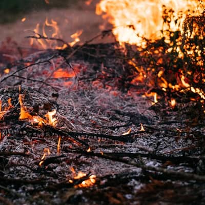Embers Whispering by the Shimmering Shore