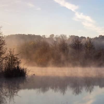 Dawn Mist, Warm Hearth