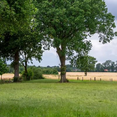 Regen fluistert boven Utrechtse velden