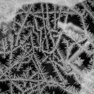 Frozen Whispers in Warm Soil