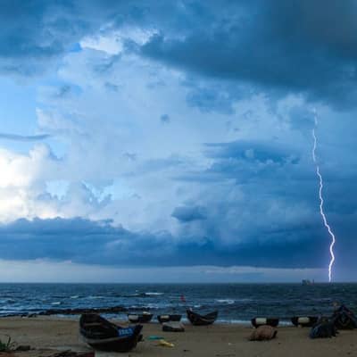 Storm‑Echoed Meditation in the Golden Wild