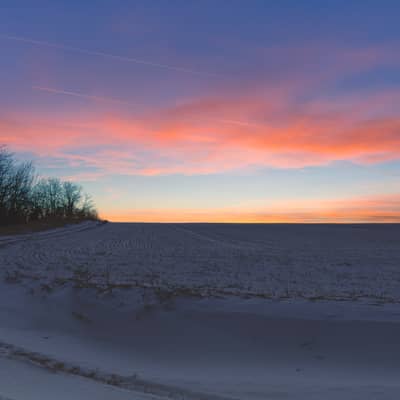 Winter Dawn's Soft Whisper