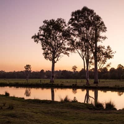 Dawn Reflections on Moving Tracks
