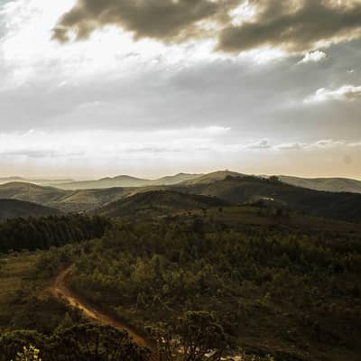 Humo de mañana entre los zorzales