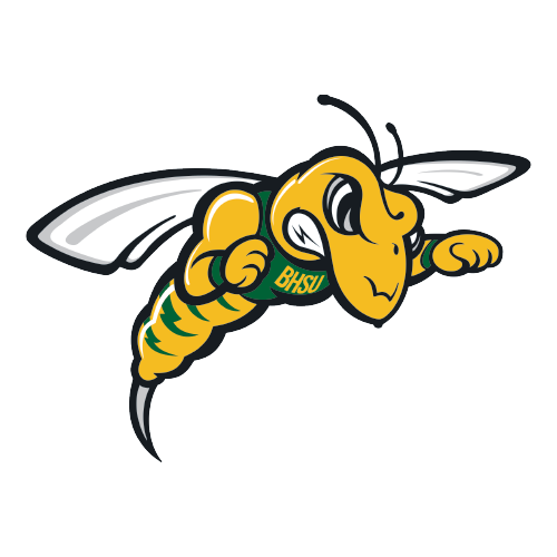 Black Hills State Yellow Jackets logo