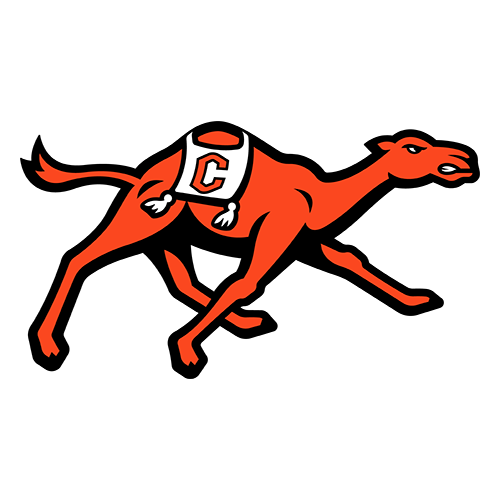 Campbellsville University Tigers logo