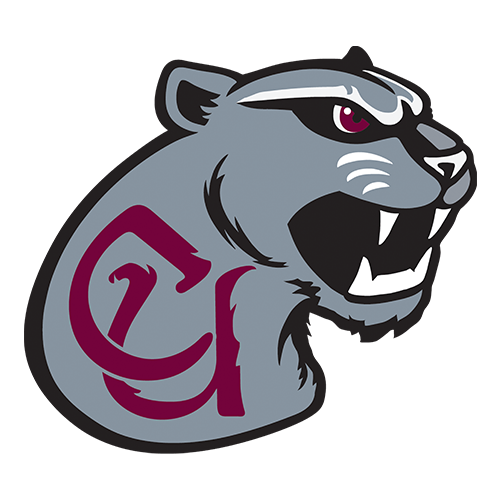 Concord Mountain Lions logo