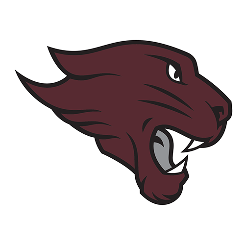 Concordia Chicago Cougars logo
