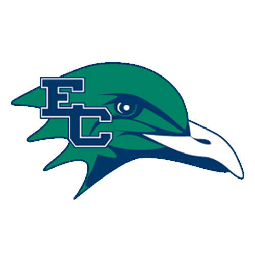 Endicott Gulls logo